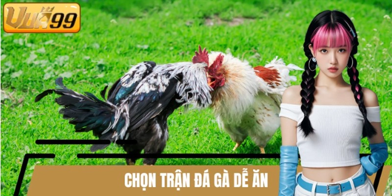 Chọn trận đá gà dễ ăn