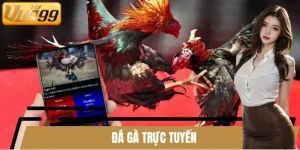 Đá Gà Trực Tuyến
