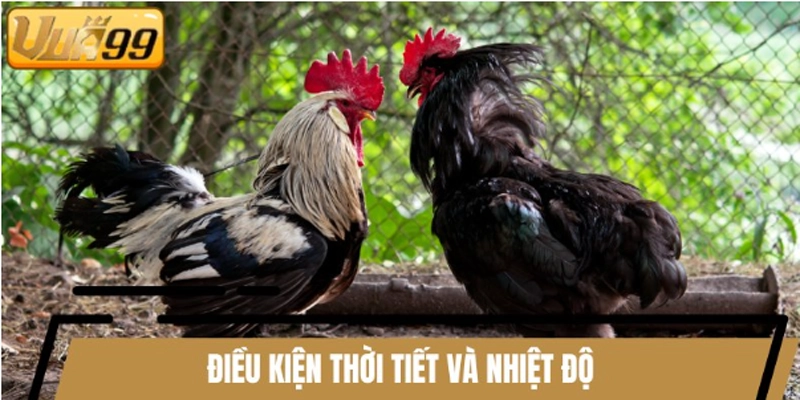 Điều kiện thời tiết, nhiệt độ