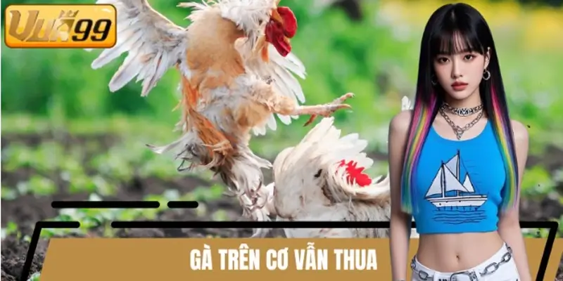 Gà trên cơ vẫn thua