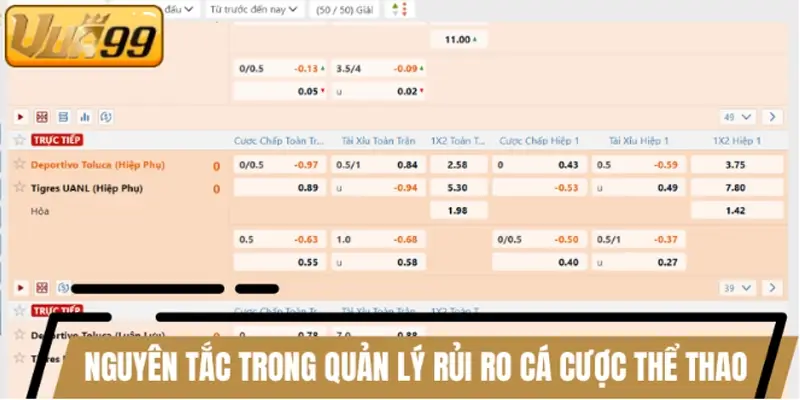 nguyên tắc trong quản lý rủi ro cá cược thể thao nguyên tắc trong quản lý rủi ro cá cược thể thao