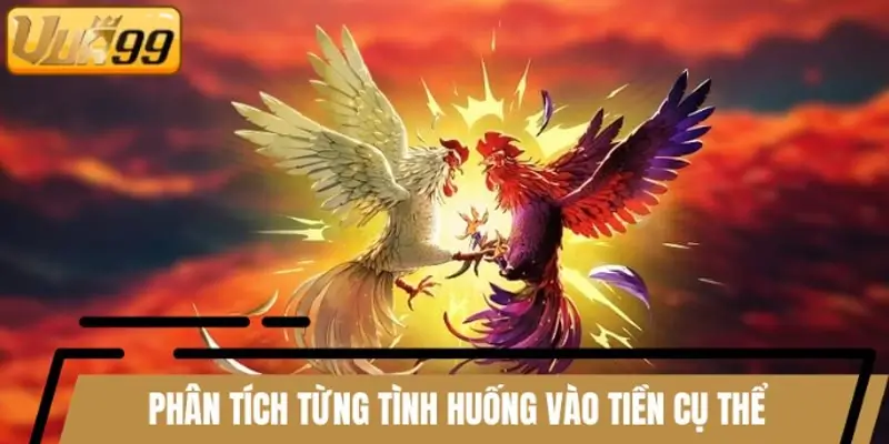 Phân tích từng tình huống vào tiền cụ thể Phân tích từng tình huống vào tiền cụ thể