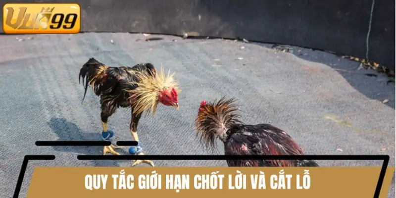 Quy tắc giới hạn chốt lời và cắt lỗ