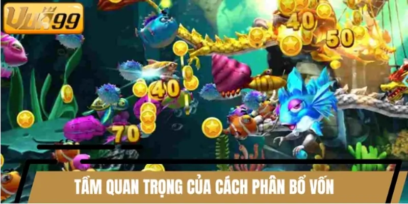 Tầm quan trọng của cách phân bổ vốn