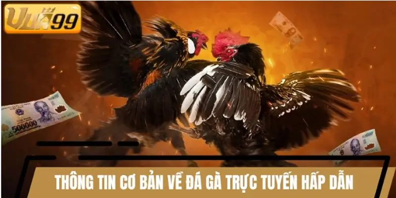 Thông tin cơ bản về đá gà trực tuyến hấp dẫn Thông tin cơ bản về đá gà trực tuyến hấp dẫn