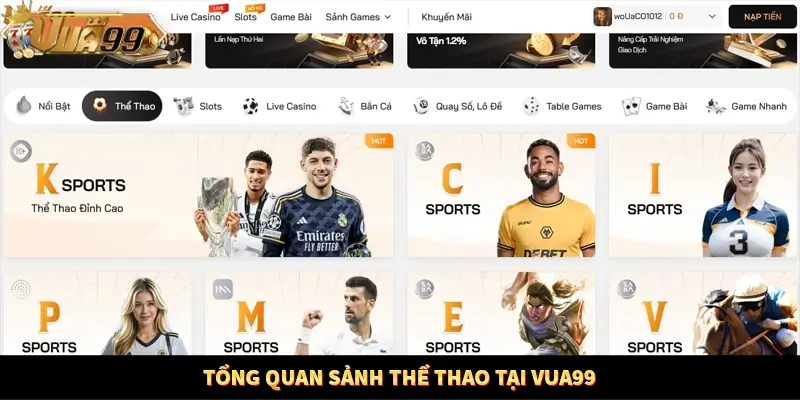 Tổng quan sảnh thể thao tại VUA99